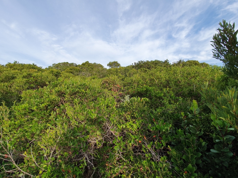 0 Bedroom Property for Sale in Paradise Beach Eastern Cape
